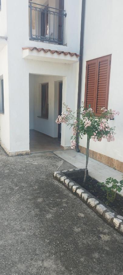 Apartment Am